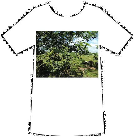 Merchandise