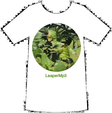 Merchandise